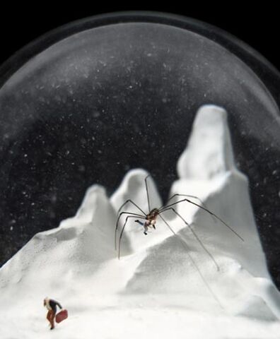 Archivo:Snowglobe-7.jpg