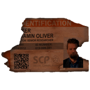 1162 old badge.png