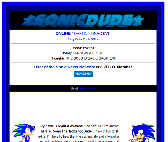 File:SonicDude.png
