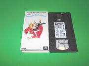 Throughoutly Modern Millie VHS