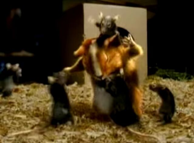 File:Ninja Mice Attacking Ray.jpg