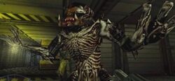 Predalien-10