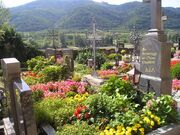 Cementerio