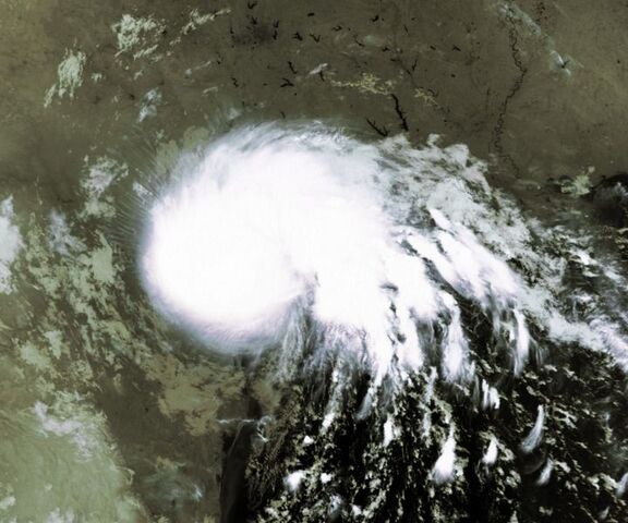 File:Charley 1980.jpg