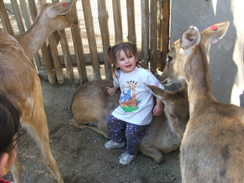 070321AApettingZoo
