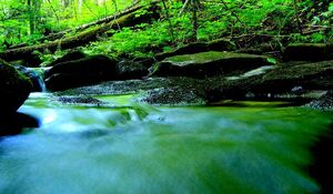 800px-StreamNorthBay