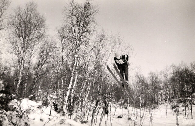 File:Skihopp2.jpg