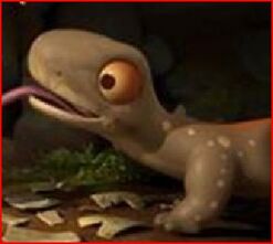 Lizard (Maya the Bee)