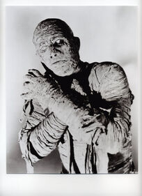 10101643A~Boris-Karloff-The-Mummy-Posters