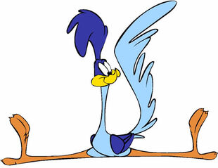 Road Runner