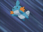 Mudkip