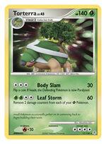DP-01 017 Torterra