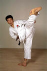 Shotokan karate