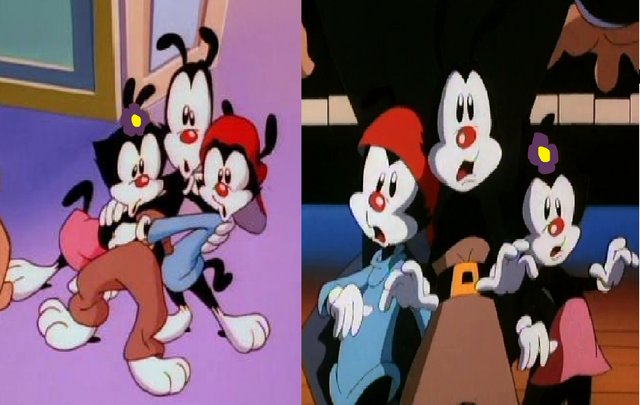 File:TAHEO.png