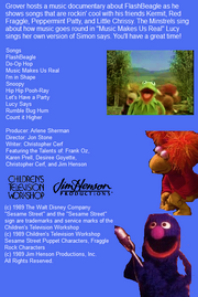 FlashBeagle Back Cover