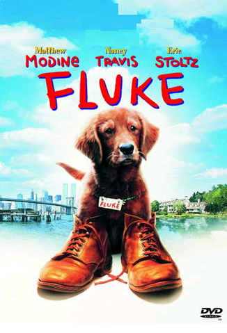 File:Fluke, 1999 DVD.png