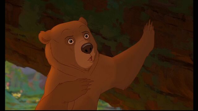 File:Brotherbear278.jpg