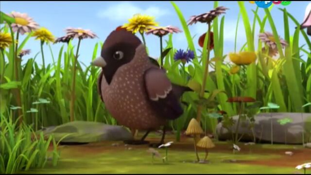 File:Bird (MTB).jpg