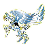 Pegasus Cloth 4