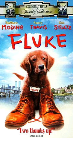 File:Fluke, 1999 VHS.png