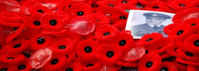 File:Poppies by Benoit Aubry of Ottawa.jpg