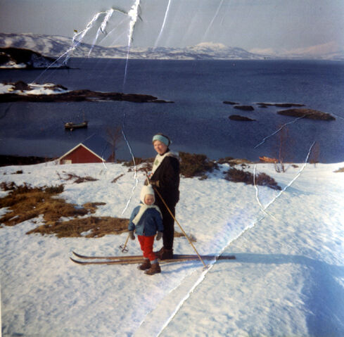File:Vinterhålla.jpg
