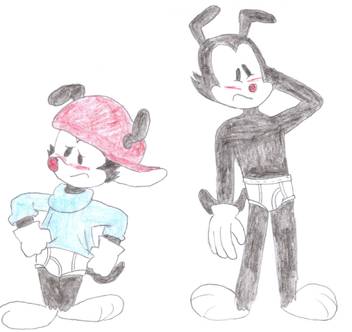 File:Yakko and Wakko's Underwear.png