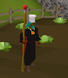 Uniform