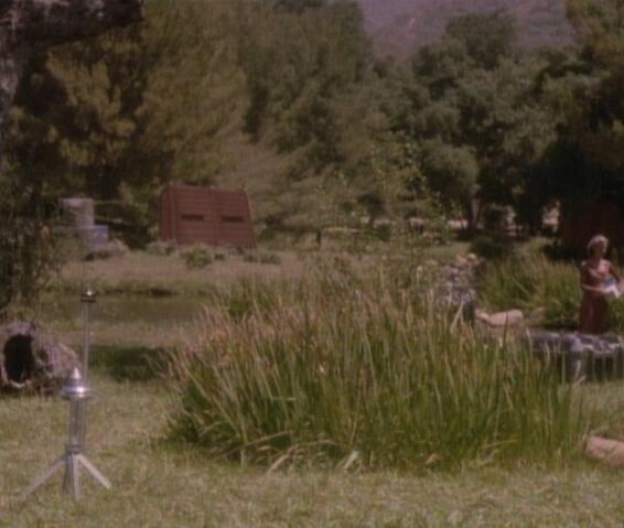 File:Colony 99.jpg