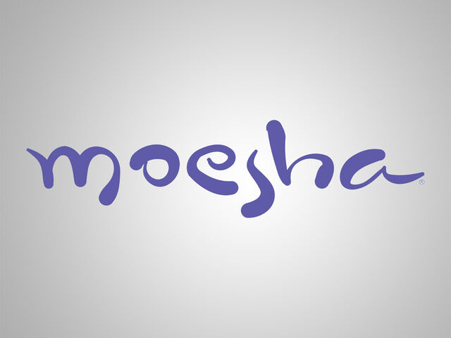 File:Moesha Title Card.jpg