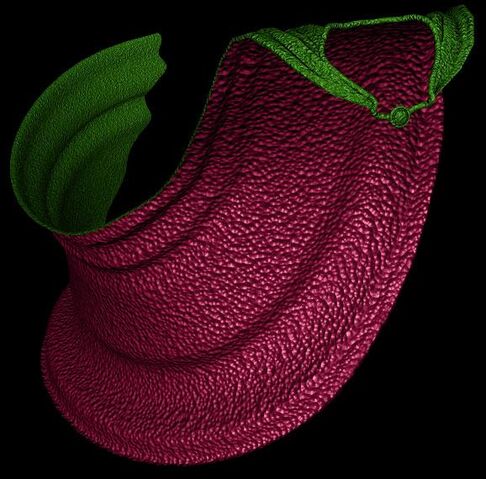 File:Image 1 900993.jpg