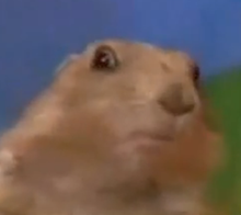 File:220px-Dramatic Chipmunk.png