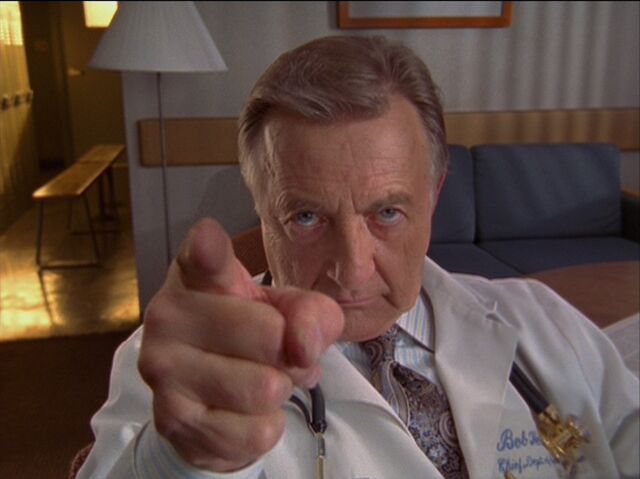 File:6x16-Bob points.jpg