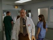 4x20dermatologist