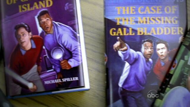 File:9x5 Hardy Boys books.jpg