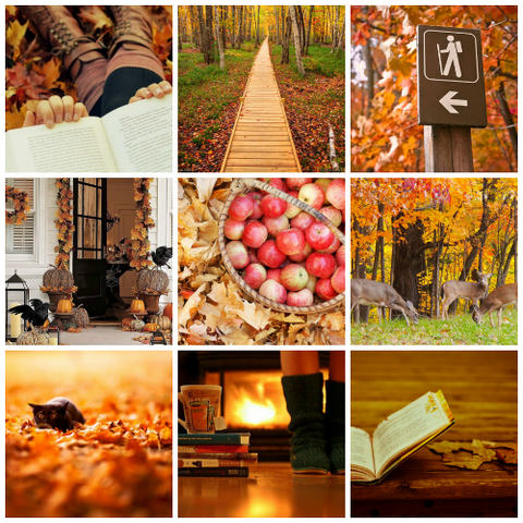 Файл:1410007428 youloveit ru osennie kartinki01.png