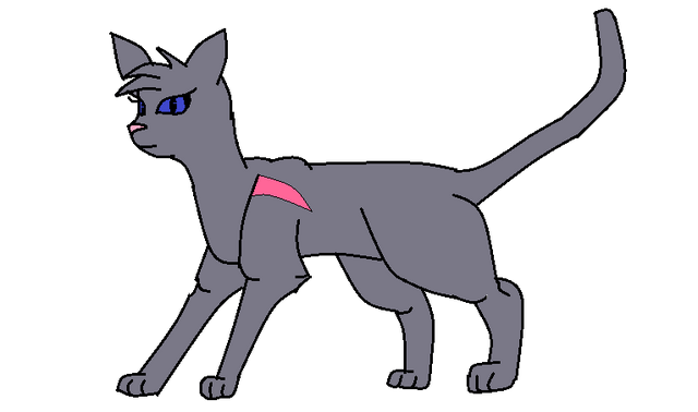 Файл:Модель короткого кота (1).png
