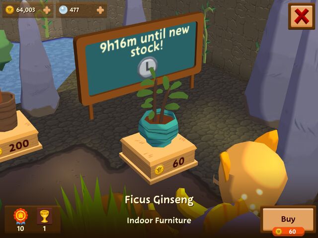 File:FicusGinseng.jpeg