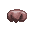 Dog's Nose