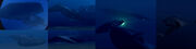 Marauder Attack Submarine