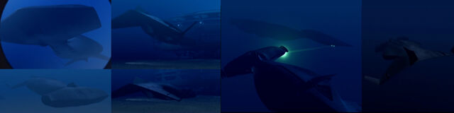 File:Marauder Attack Submarine.jpg