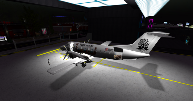 File:Yggdrasil Air 1 017.png