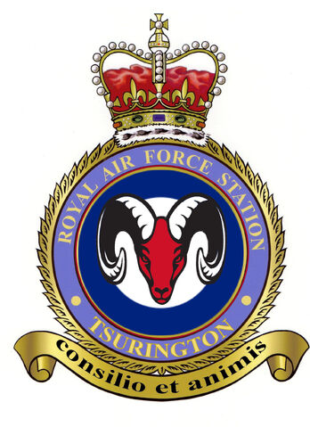 File:RAF Tsurington Station Badge.jpg