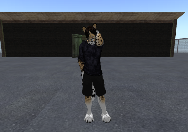 File:Xadllas-Jaguar 001.png