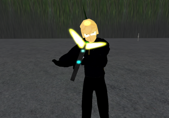 File:Snapshot 007d.png