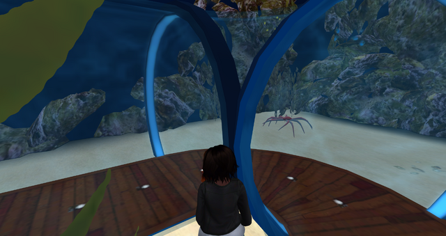 File:Snapshot 045.png