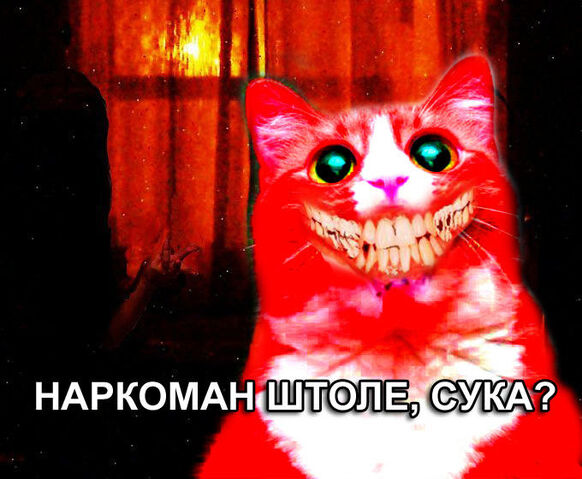 Файл:0pfbuaxtujvq.jpg