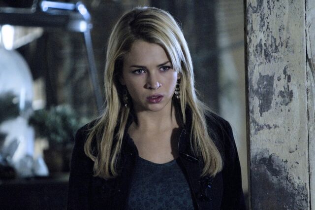 File:5x20.jpg