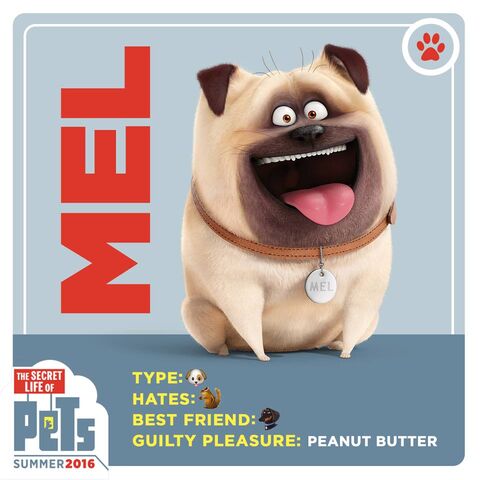 File:Mel card.jpg