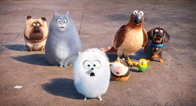 File:NormanAndSomePets.jpg